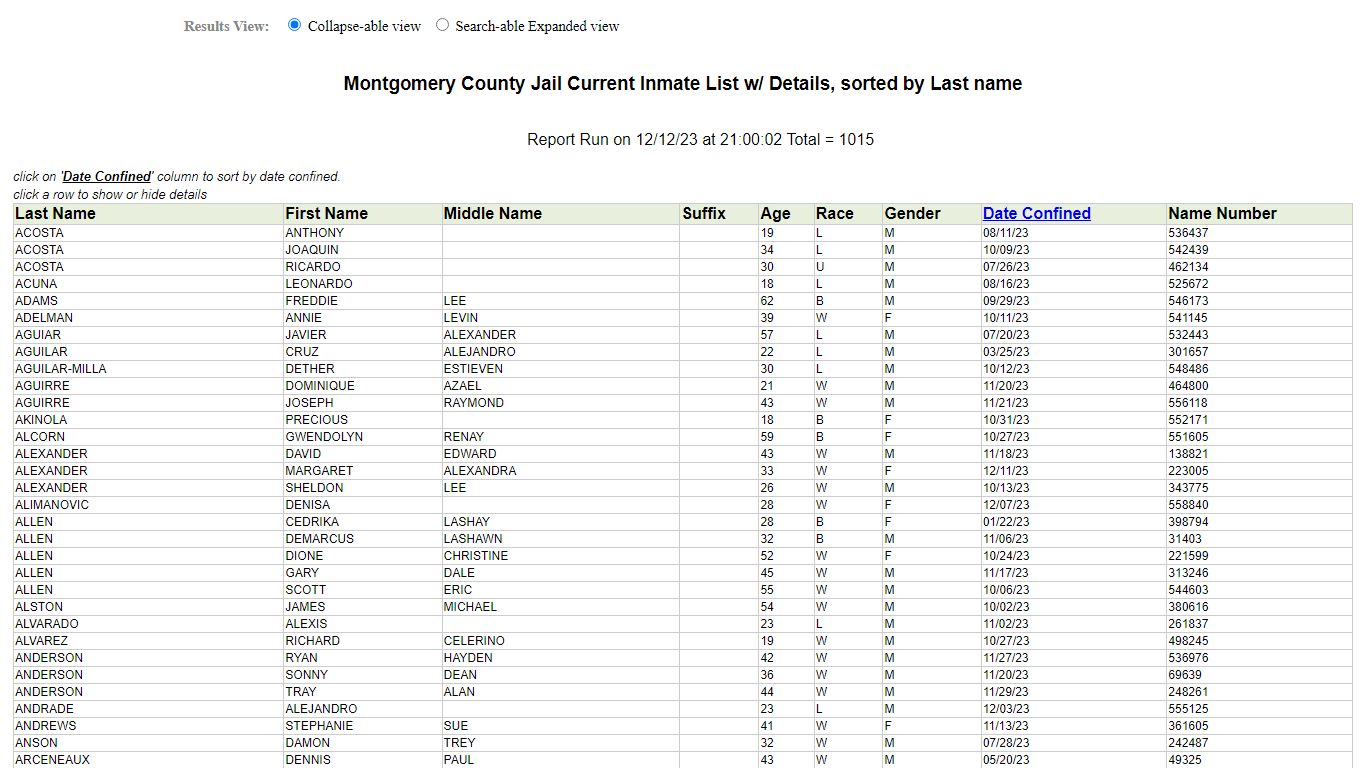 Jail Roster